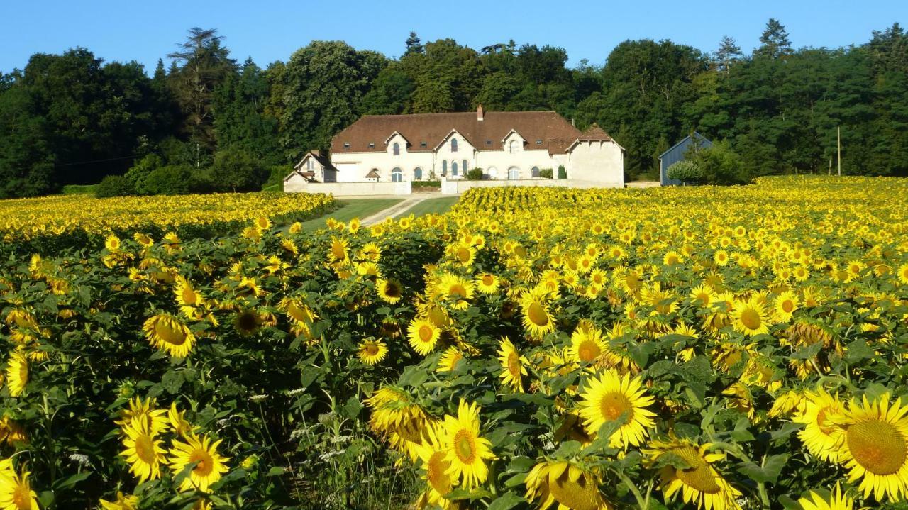 Domaine De La Maison Neuve Saint-Jean-Saint-Germain Zewnętrze zdjęcie
